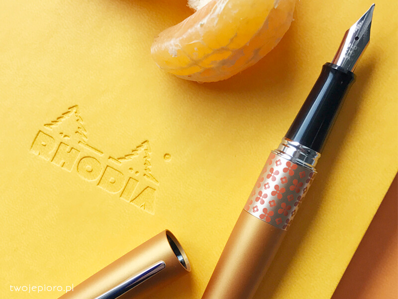 Pióro wieczne Pilot MR